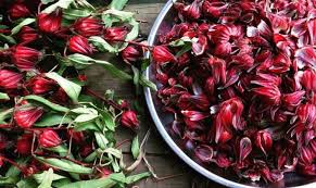 Fleurs d'hibiscus "BISSAP" bio et pure