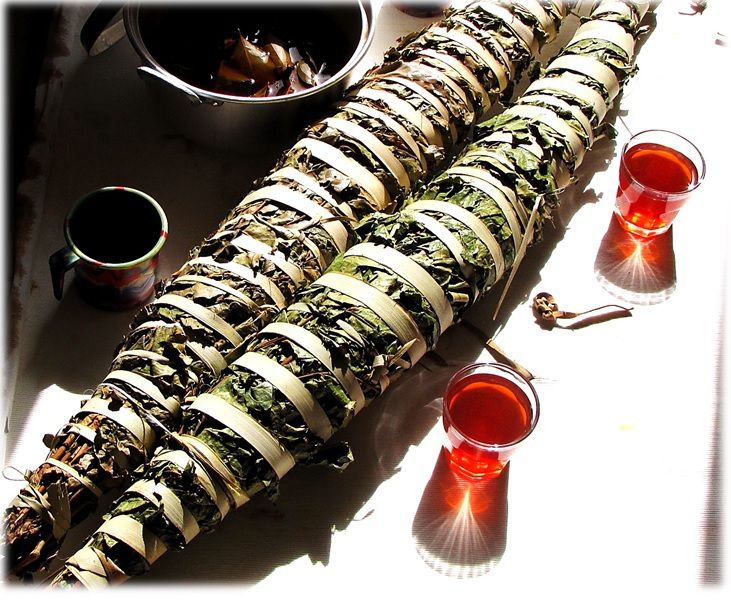 Kinkeliba "Tisane de longue vie"